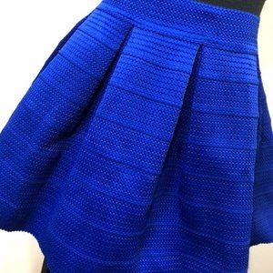 Express Womens Blue Stretch Skirt